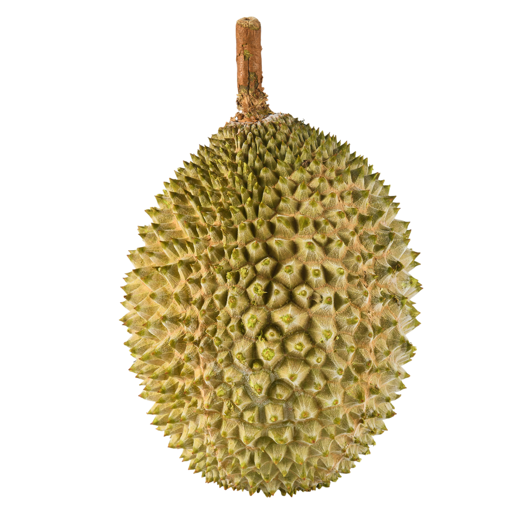 Bountree 馬來西亞榴槤 貓山王