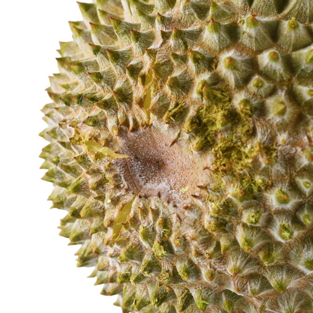 Bountree 馬來西亞榴槤 貓山王