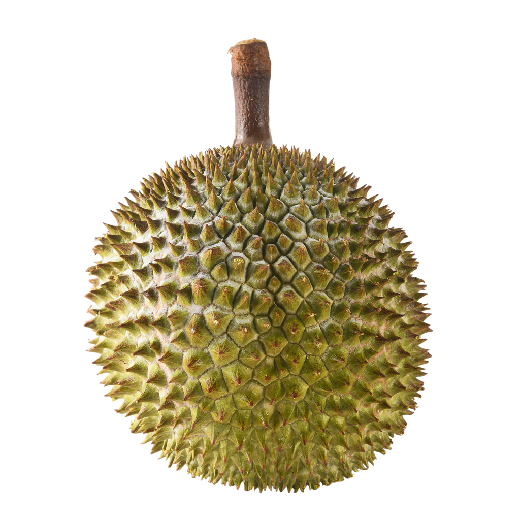 Bountree 馬來西亞榴槤 黑刺