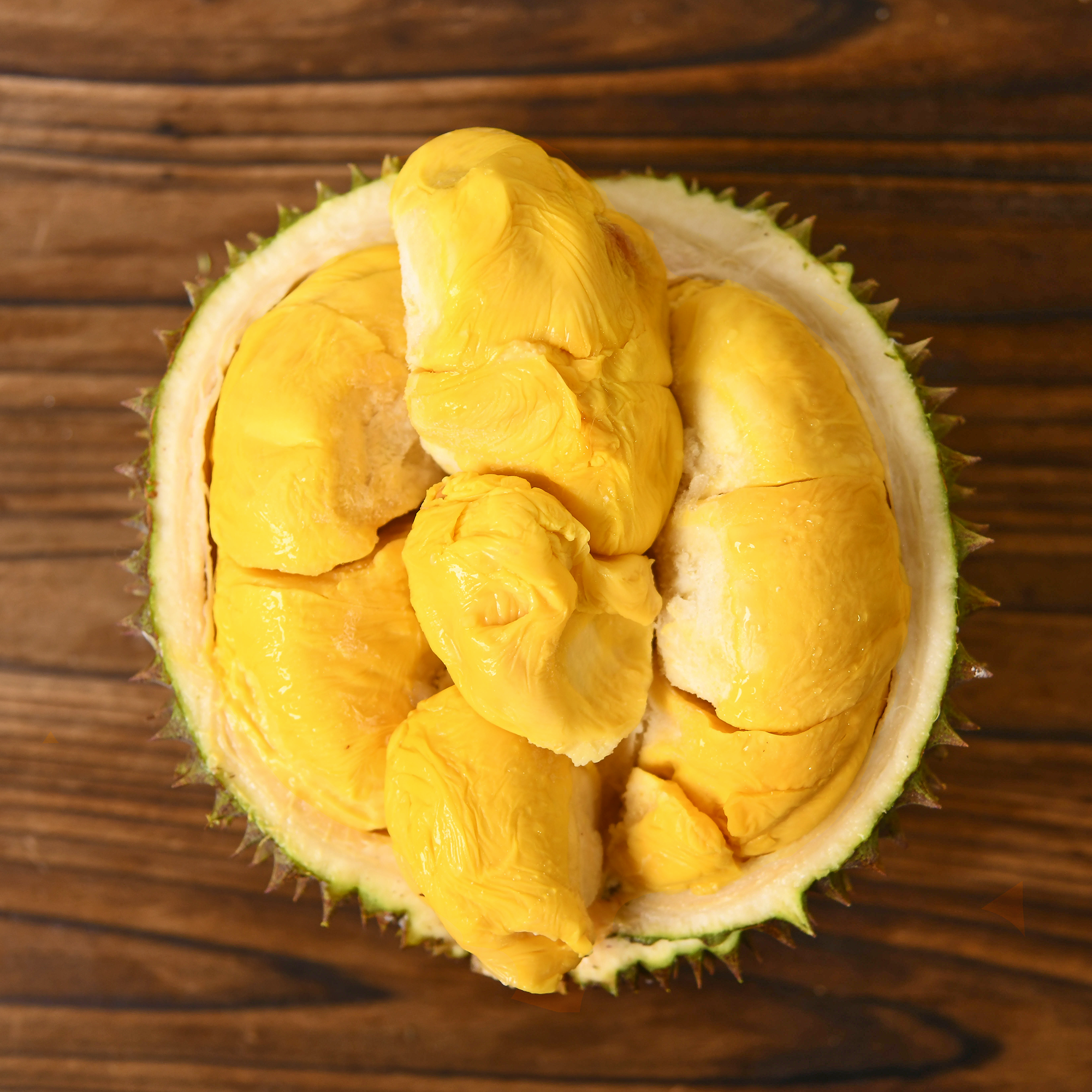 Bountree 馬來西亞榴槤 黑刺